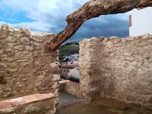 Visita guiada a alora