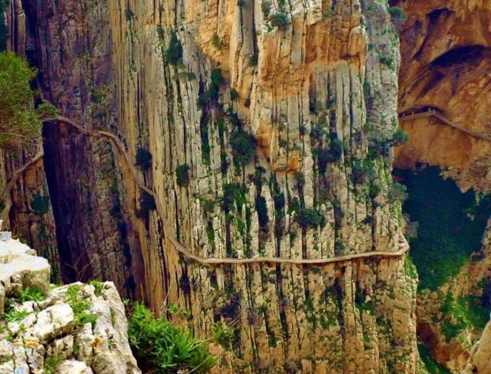 Entrada Caminito del Rey premium