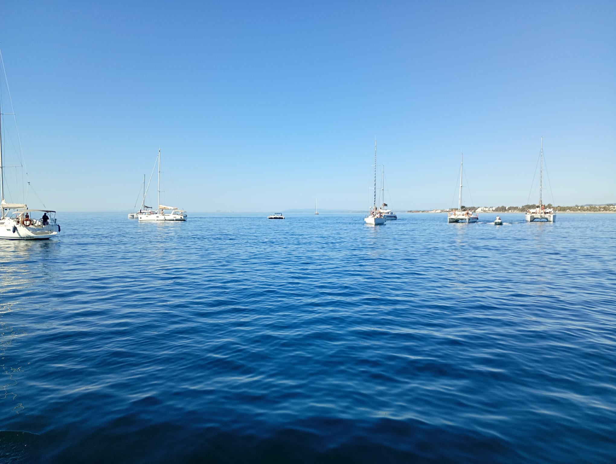 Regata Team Building en Marbella