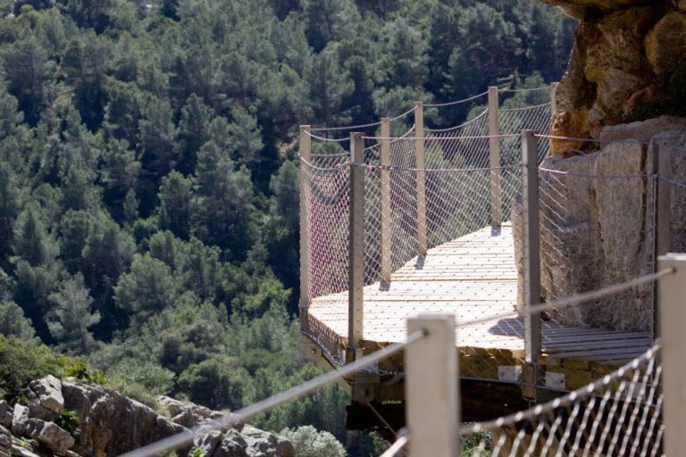 Caminito del Rey con visita guiada