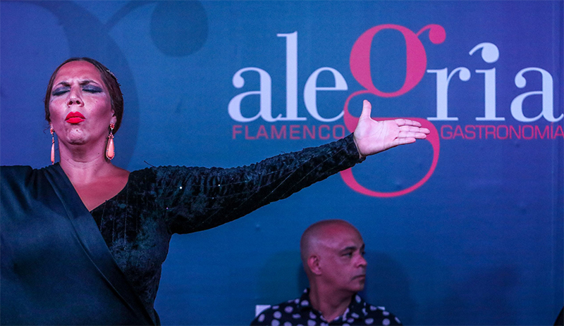 espectaculo flamenco tablao alegria