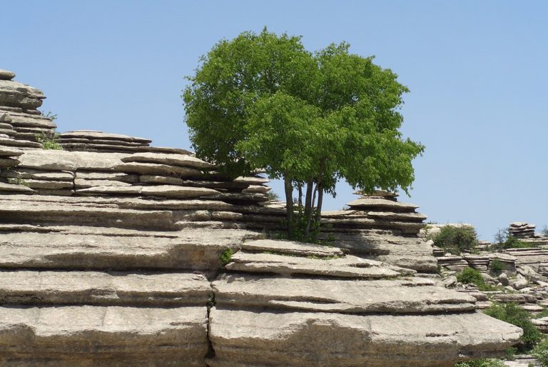 torcal de antequera paraje natural 2 768x514