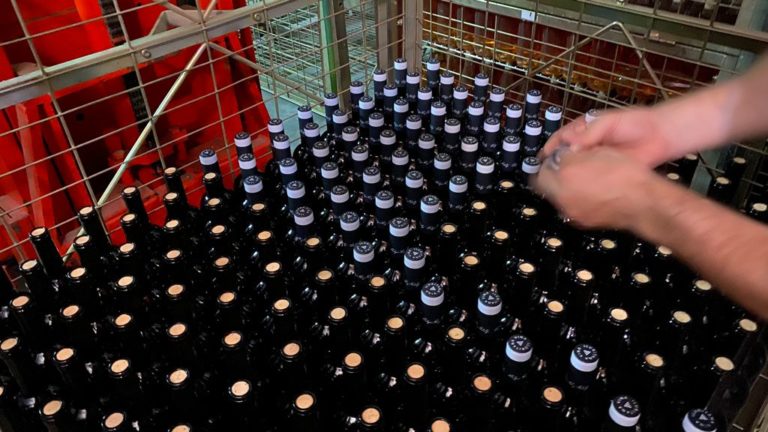 visita bodega perez hidalgo 1 768x432