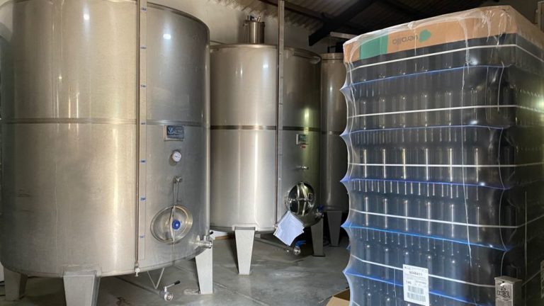 visita bodega perez hidalgo 12 768x432