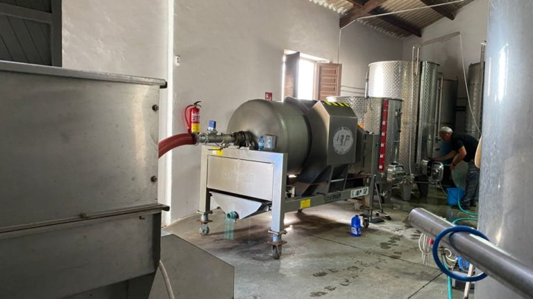 visita bodega perez hidalgo 13 768x432