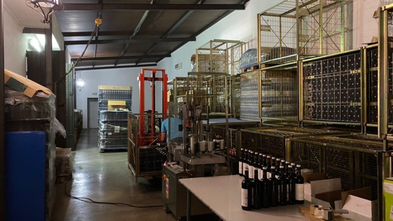 visita bodega perez hidalgo 2 768x432