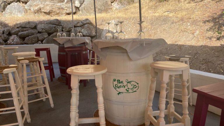 visita bodega perez hidalgo 6 768x432
