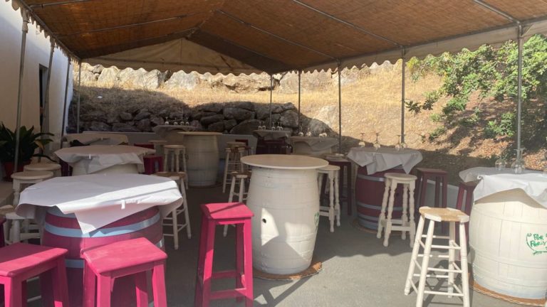 visita bodega perez hidalgo 7 768x432