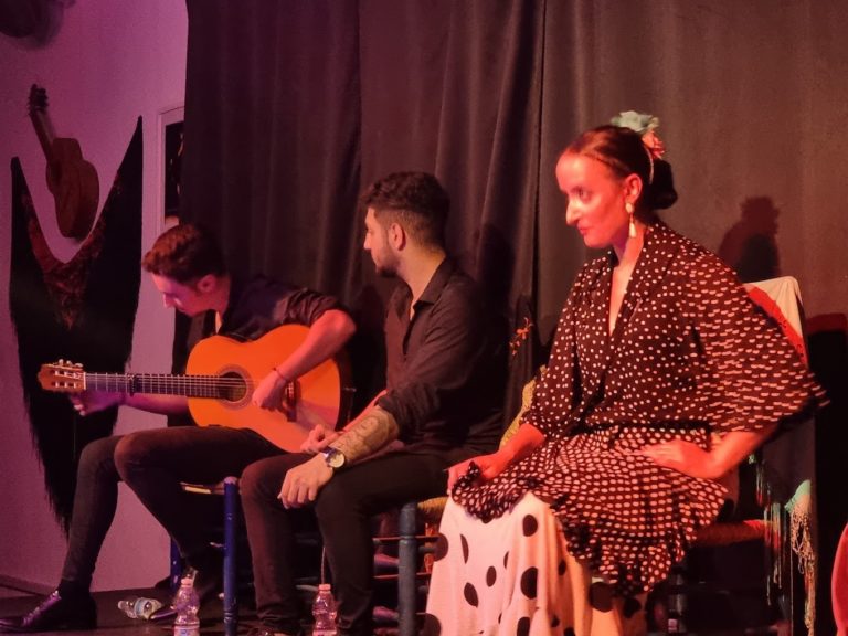Entradas Espectaculo flamenco Kelipe 1 768x576