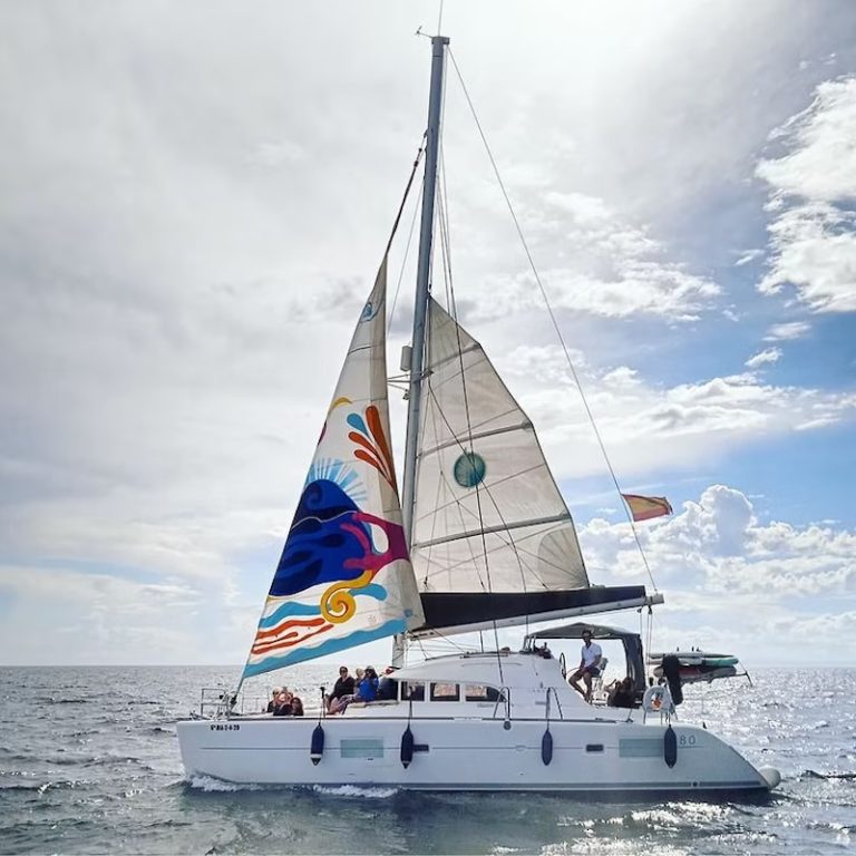 Excursion en catamaran en Marbella  7  1 768x768