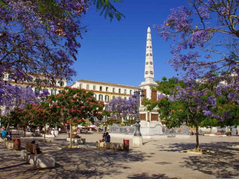 Tour al Completo por Malaga con entradas a Alcazaba Catedral 3 768x576