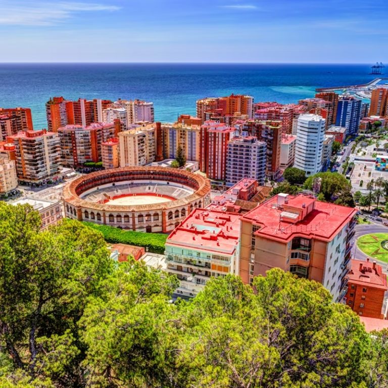 bus turistico malaga 4 768x768
