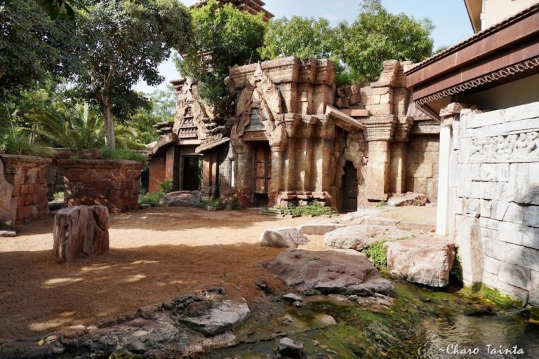 entradas biopark fuengirola 2 768x512