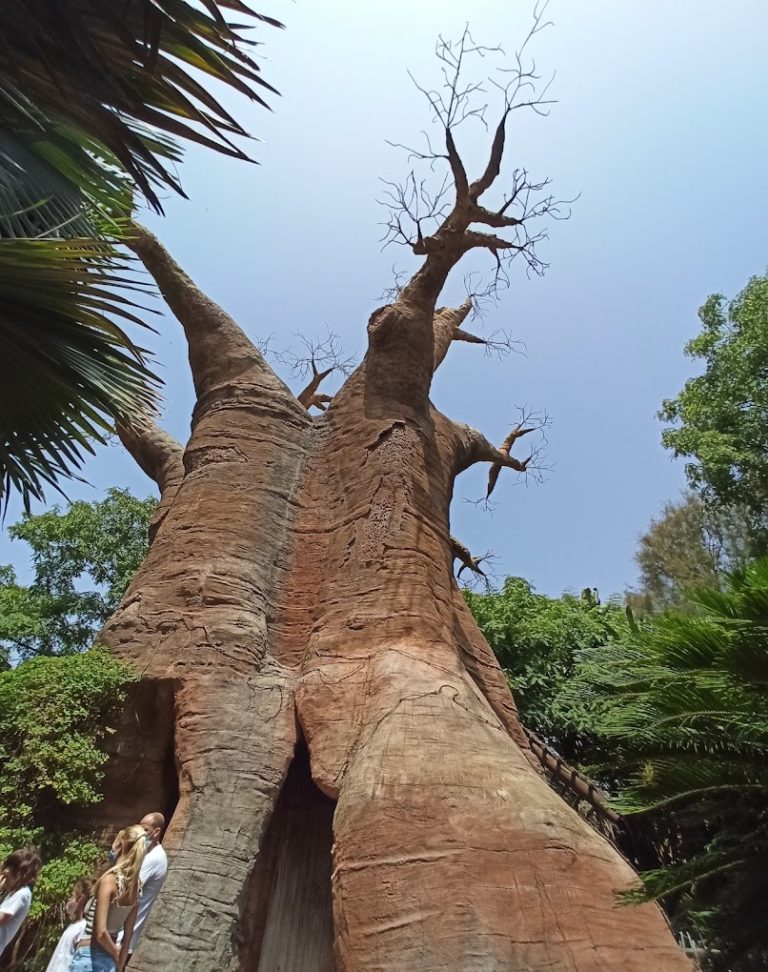 entradas biopark fuengirola 9 768x972