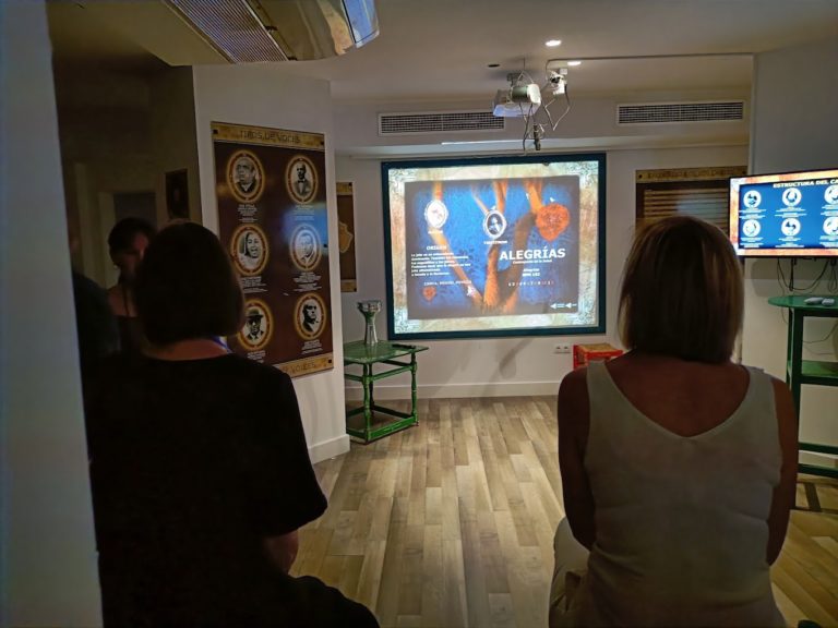 entradas centro interactivo del flamenco 11 768x576