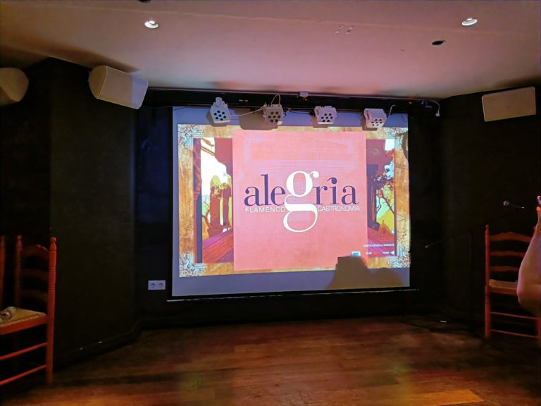 entradas centro interactivo del flamenco 6 768x576