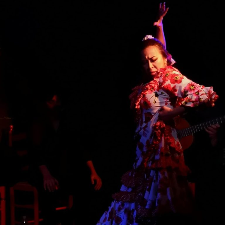 entradas centro interactivo del flamenco 7 768x768