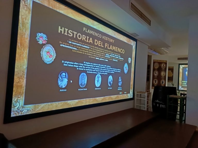 entradas centro interactivo del flamenco 9 768x576