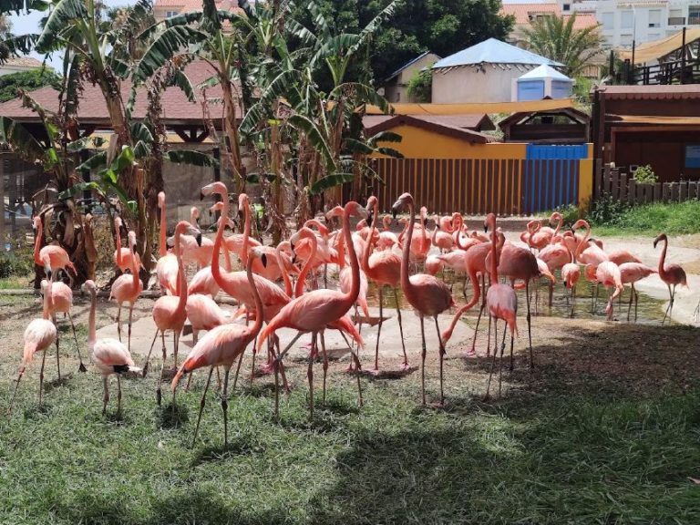 entradas para selwo marina 1 768x576