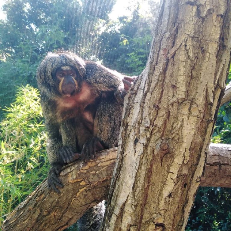 entradas para selwo marina 11 768x768