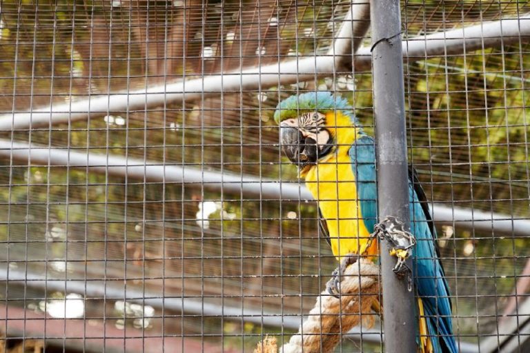 entradas para selwo marina 12 768x512