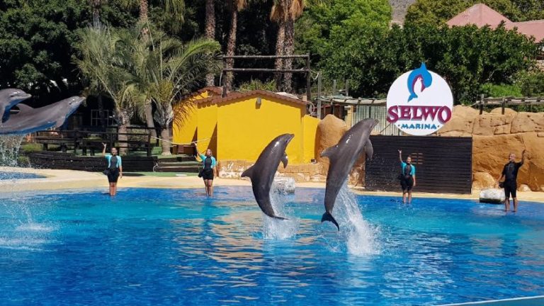 entradas para selwo marina 3 1 768x432