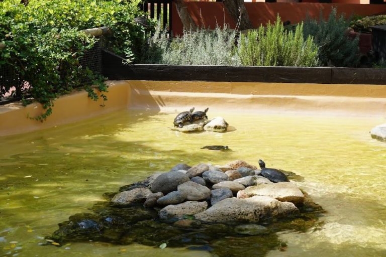 entradas para selwo marina 6 768x512