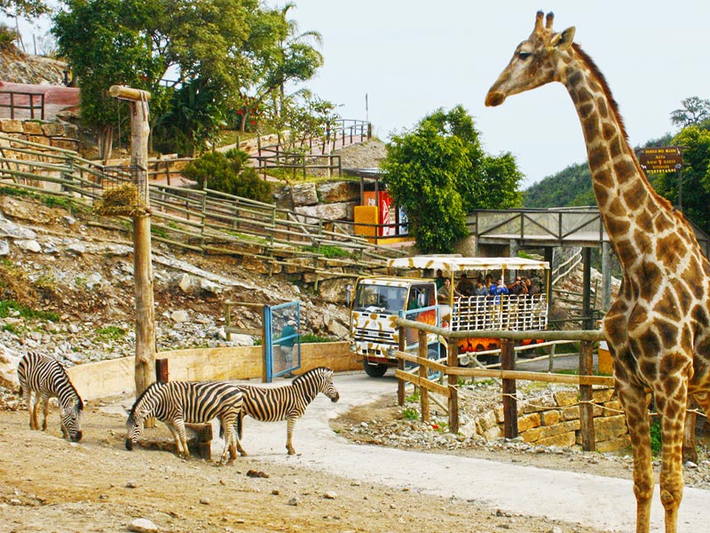 entradas selwo aventura 1 1