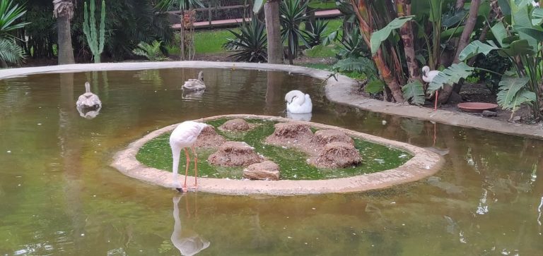 entradas selwo aventura 3 768x363