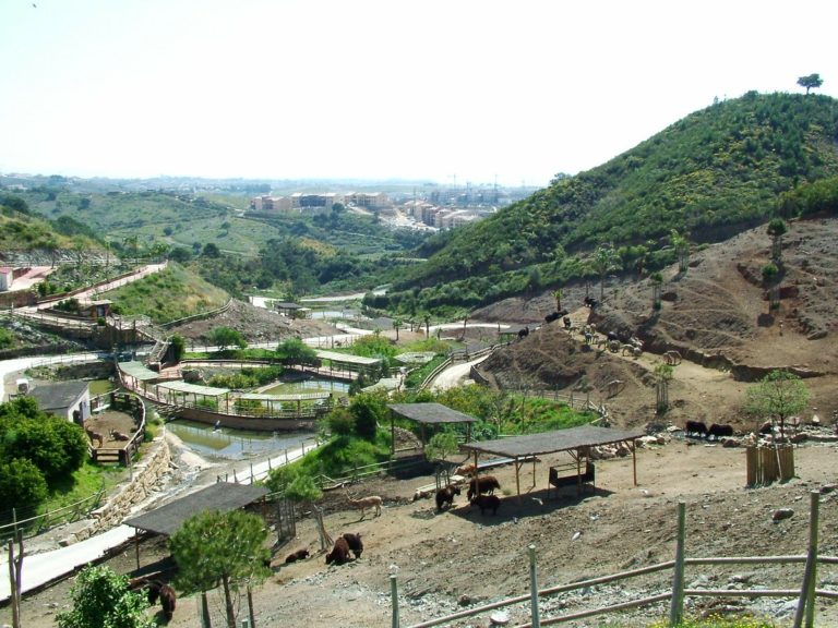 entradas selwo aventura 6 768x576