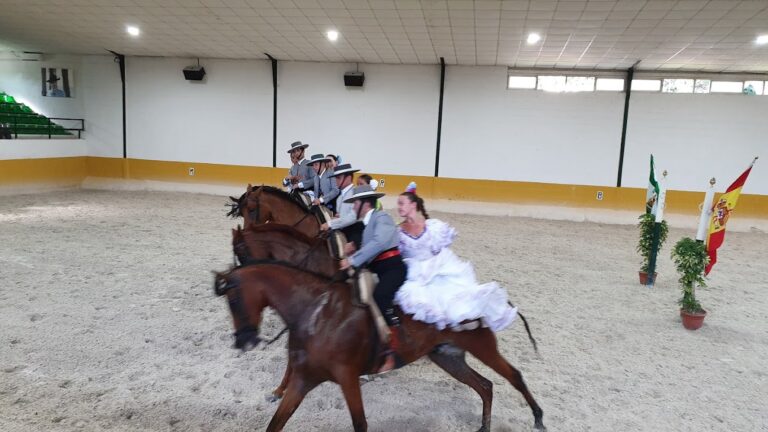 espectaculo andaluz caballos flamenco 3 768x432