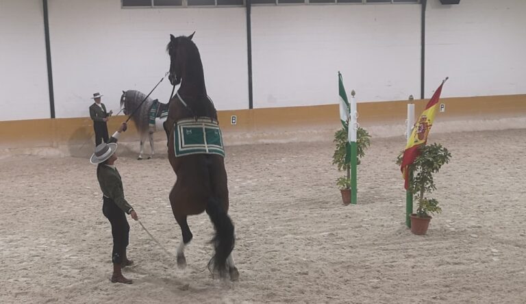 espectaculo andaluz caballos flamenco 4 768x444