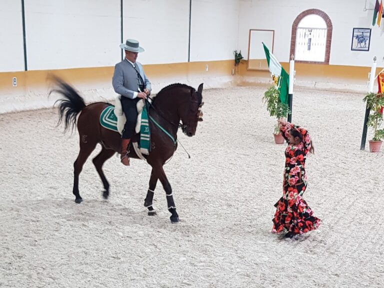 espectaculo andaluz caballos flamenco 6 768x576
