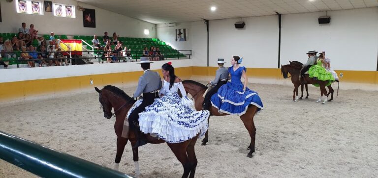 espectaculo andaluz caballos flamenco 7 768x363