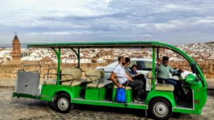 Tour guiado por Antequera y dólmenes