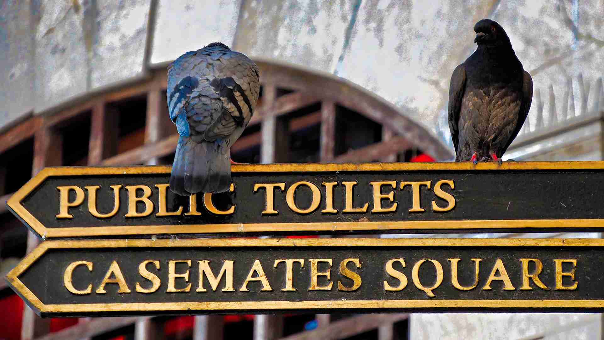 Excursión a gibraltar