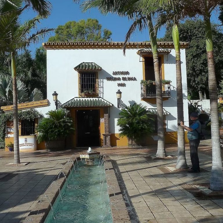 Ruta guiada en bici electrica por Torremolinos 3 768x768