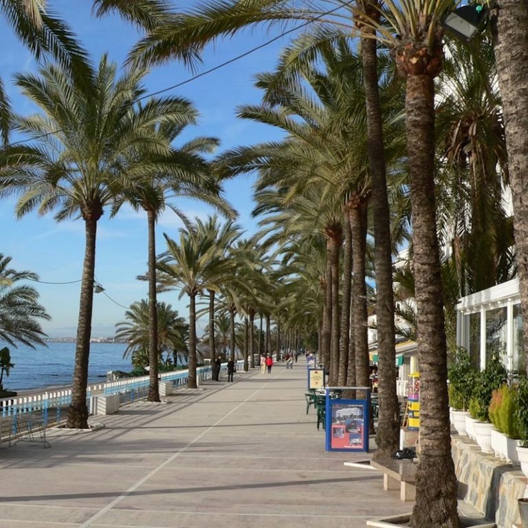 Tour en bici por Marbella 1 768x768