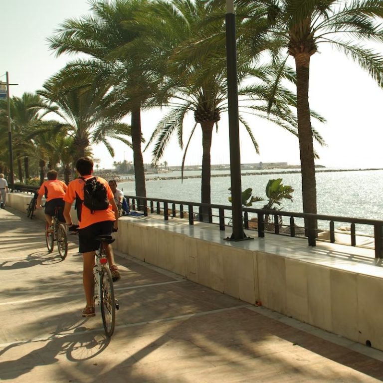 Tour en bici por Marbella 6 768x768
