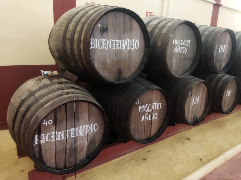 Visita bodega olivar catas aceite vinos 4 768x576