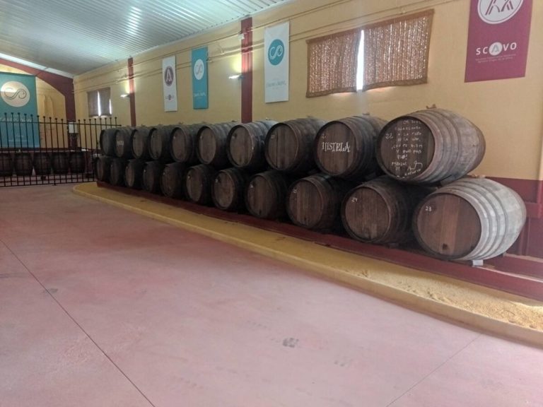 Visita bodega olivar catas aceite vinos 8 768x576