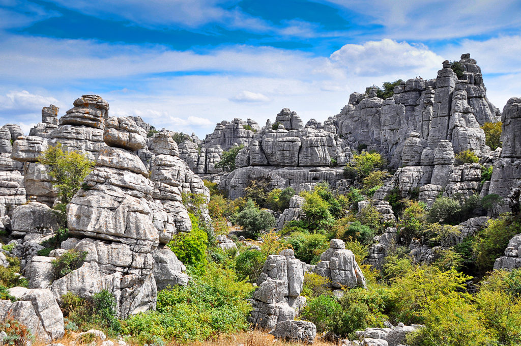 Visita guiada Dólmenes y Torcal