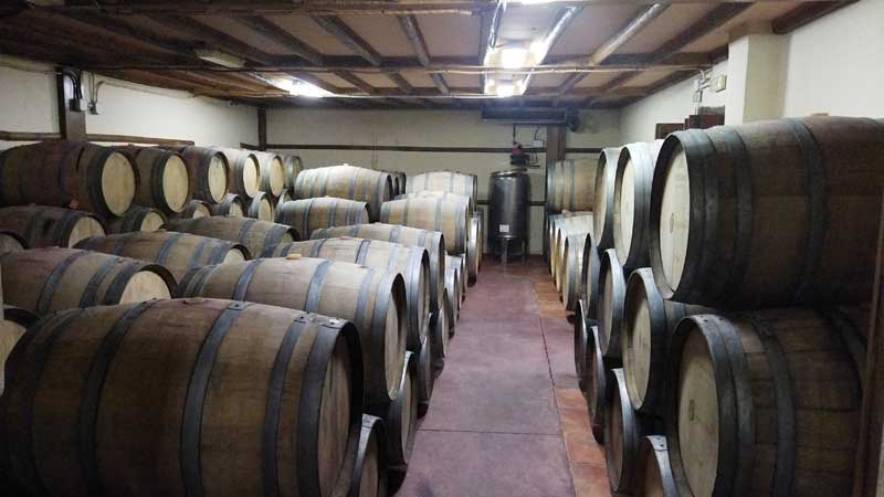 Visita guiada a viñedos y bodega de Málaga