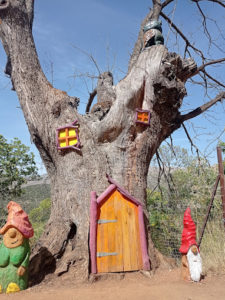 bosque encantado de parauta