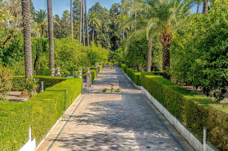 tour a sevilla 1 dia desde malaga 5 768x511