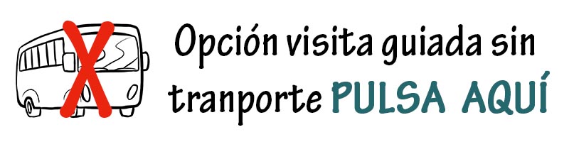 Opcion de visita guiada sin transporte