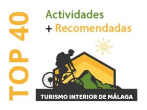 Top 40 actividades en Málaga
