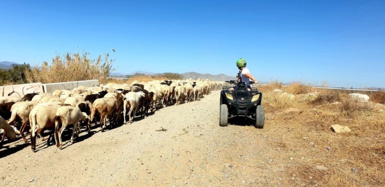 Rutas en quad en Malaga 10 768x374