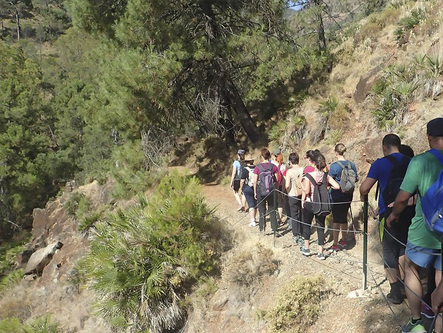 Senderismo Sierra de las Nieves