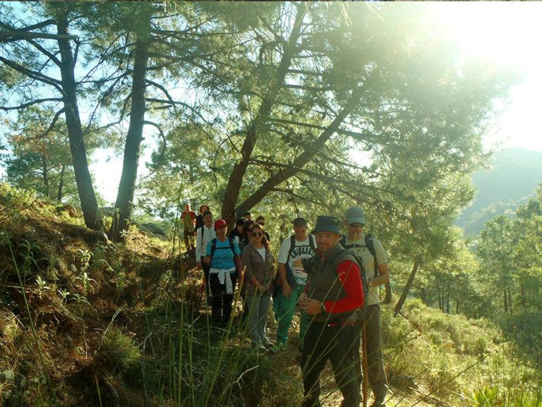 Senderismo Sierra de las Nieves malaga 5 768x577